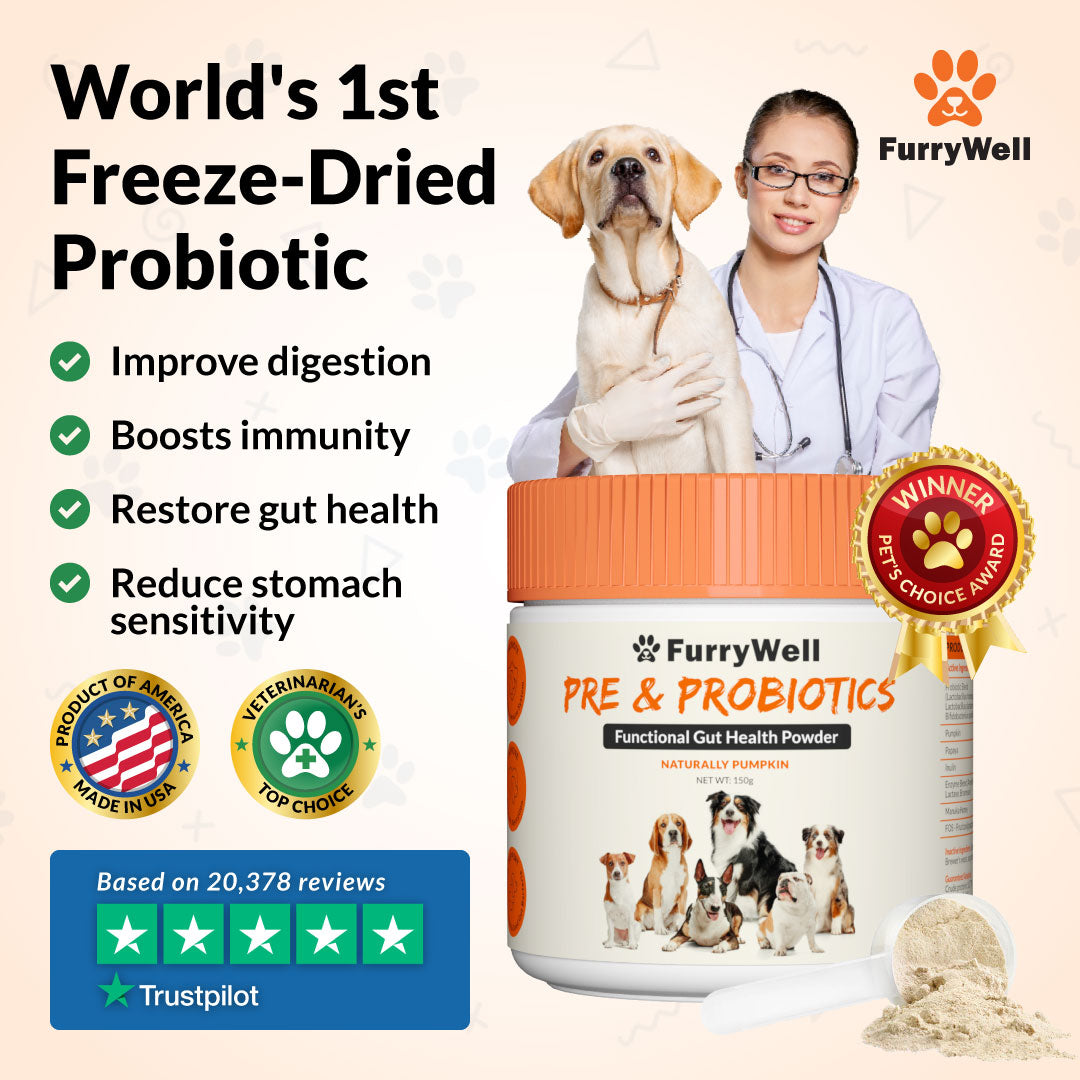 FurryWell | Pre & Probiotics (Gut)